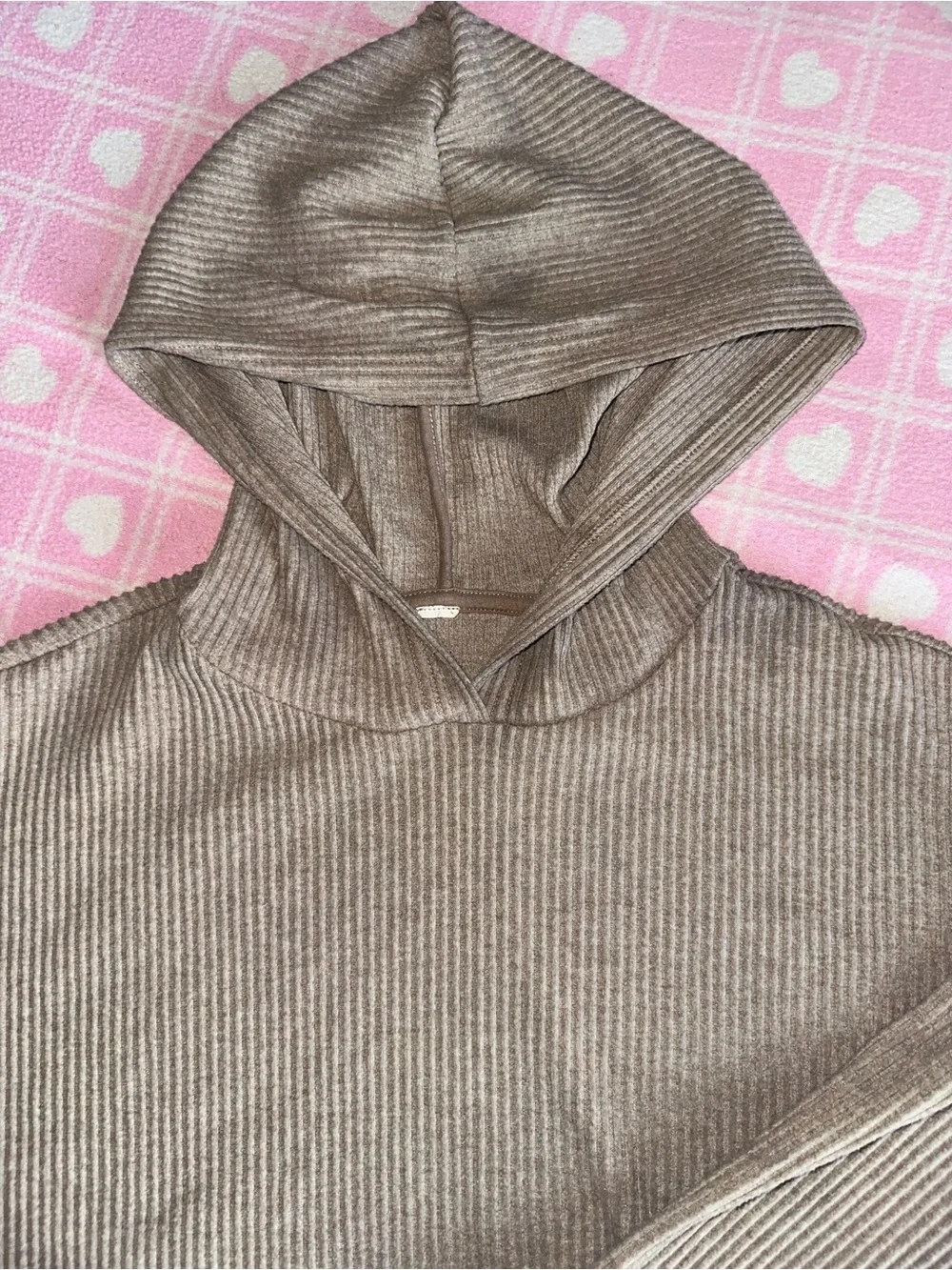 ALO Yoga Ribbed Hooded Crop in Taupe Brown